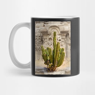 Organ Pipe Cactus in Front of Colonial Church Mug